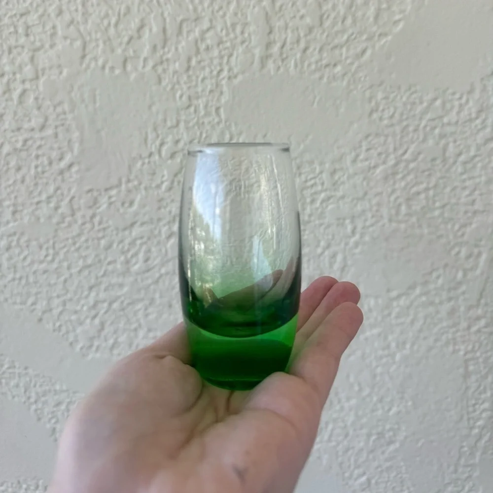 Carnival Cruise Green Ombre 5oz Shot Glass Souvenir Barware OS
